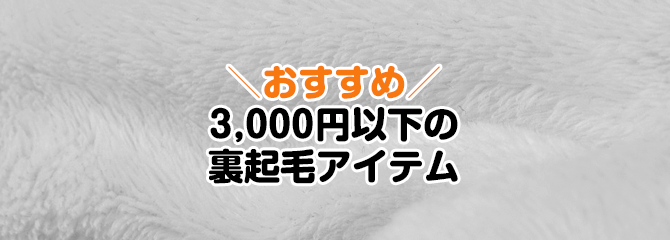 おすすめ！3000円以下の裏起毛アイテム